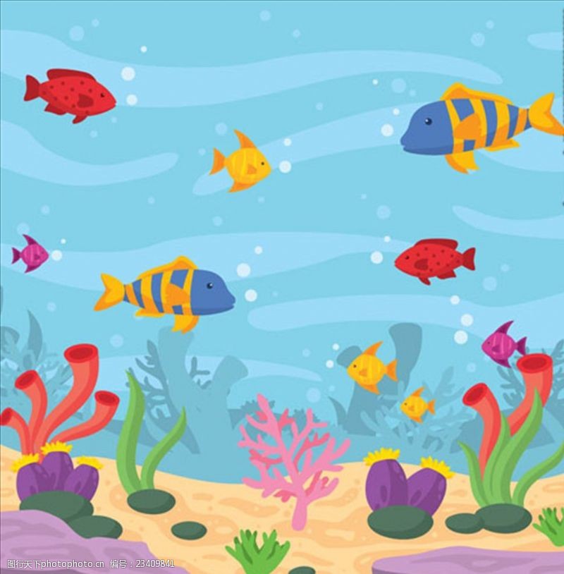 海底珊瑚海底彩色的鱼类背景