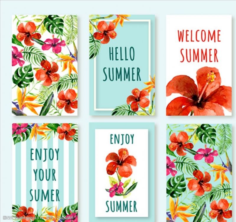 夏季风情矢量素材六款夏季热带花卉卡片