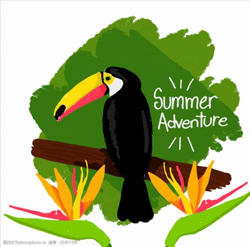 暑假促销手绘夏日巨嘴鸟插图