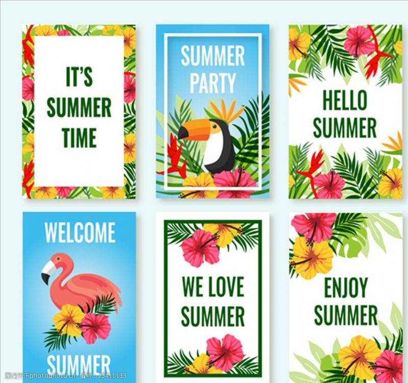 夏季风情矢量素材夏季热带花鸟卡片