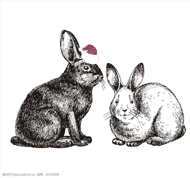 民族红花手绘兔子矢量图下载