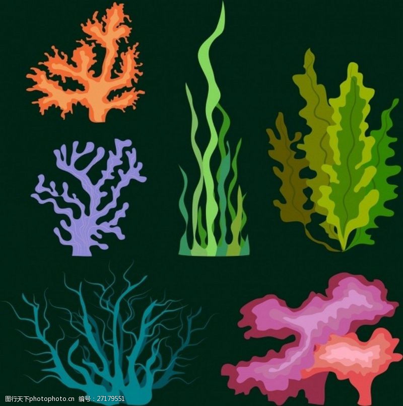 绿色海藻海底海藻植物矢量图