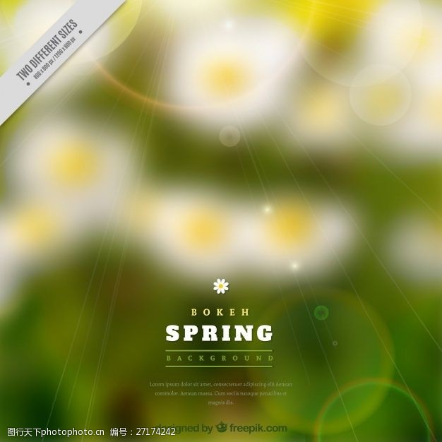 多彩菊花模糊的春天的背景