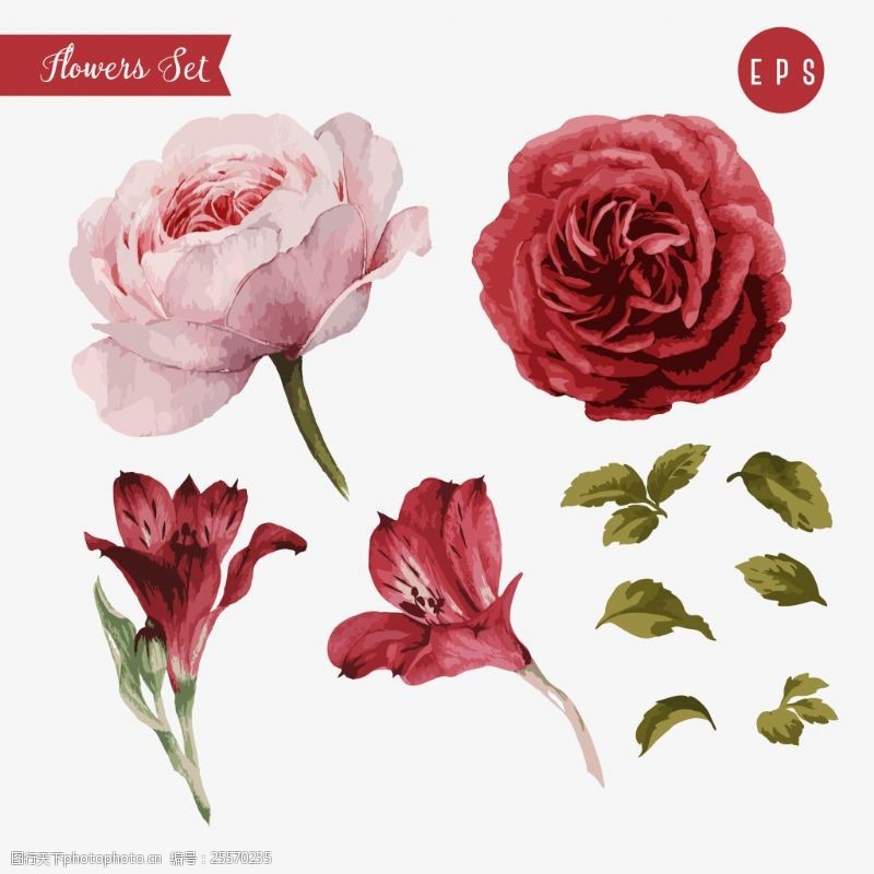 红色花墙粉色玫瑰红色玫瑰矢量印刷高清设计素材