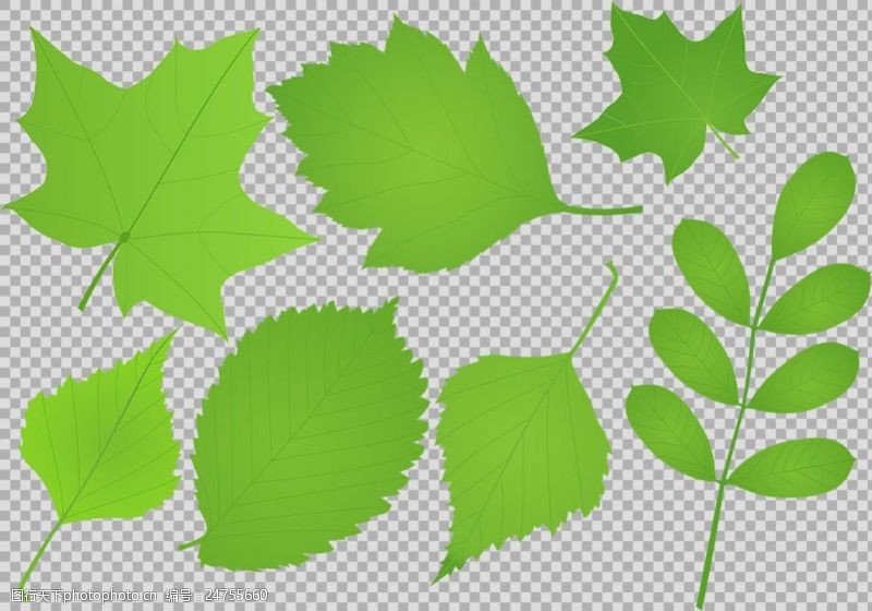 边框免抠素材手绘各种叶子插画免抠png透明图层素材