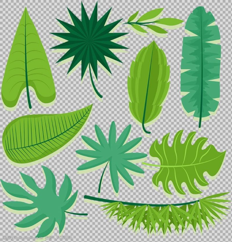 边框免抠素材手绘各种绿色叶子插画免抠png透明素材