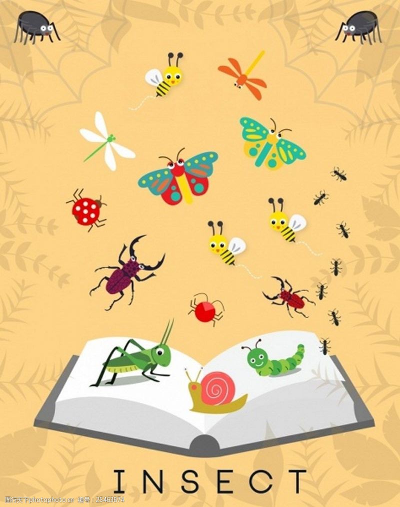 可爱底纹免费下载可爱漂亮昆虫背景图