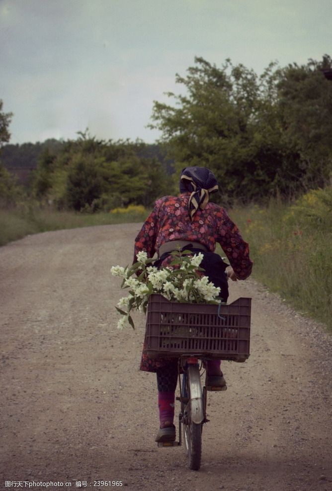 骑单车骑自行车妇女背影