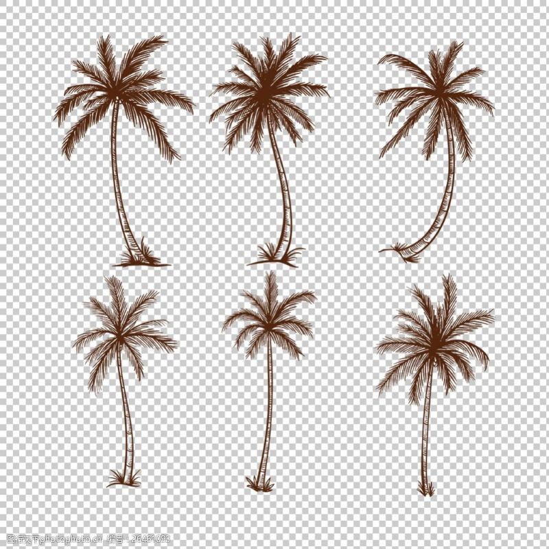 光带椰子树剪影效果免抠png透明图层素材