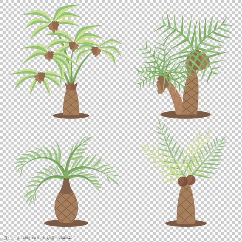 光带棕榈树椰子树免抠png透明图层素材
