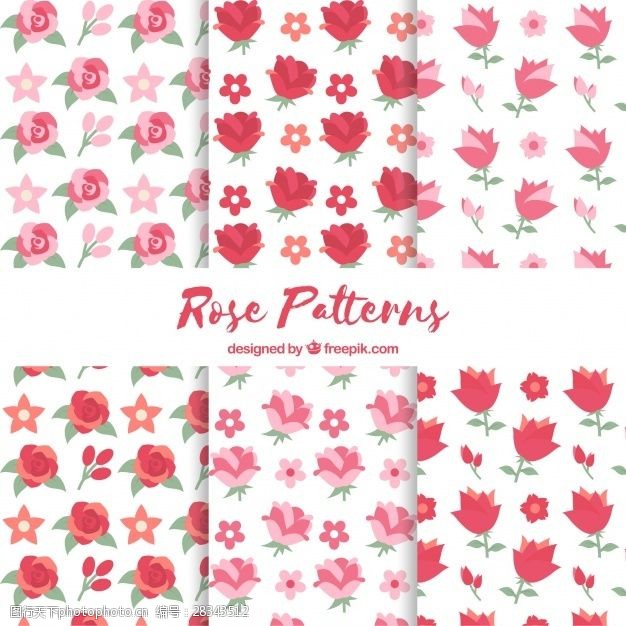 多种图案彩色玫瑰六种图案的收藏