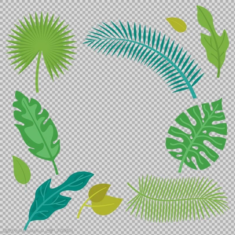 各种形状叶子插画免抠png透明图层素材