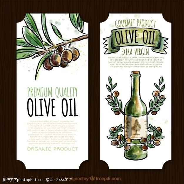 橄榄枝标签水彩风格的装饰橄榄油标签