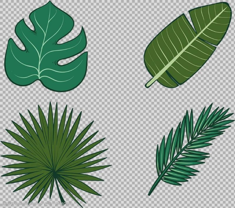 边框免抠素材棕榈叶子插画免抠png透明图层素材