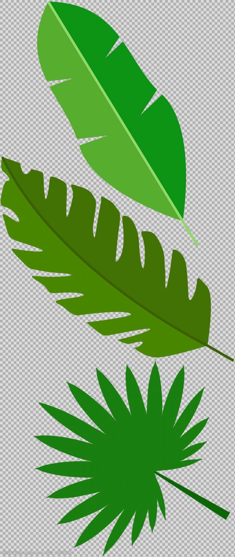 边框免抠素材手绘绿色叶子插画免抠png透明图层素材
