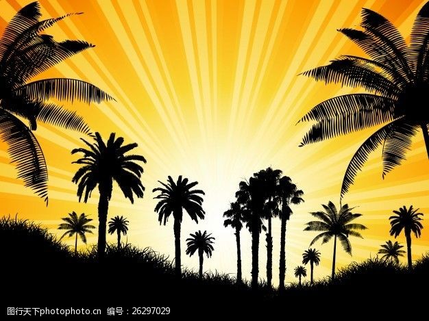 热带背景棕榈树在晴朗的天空下