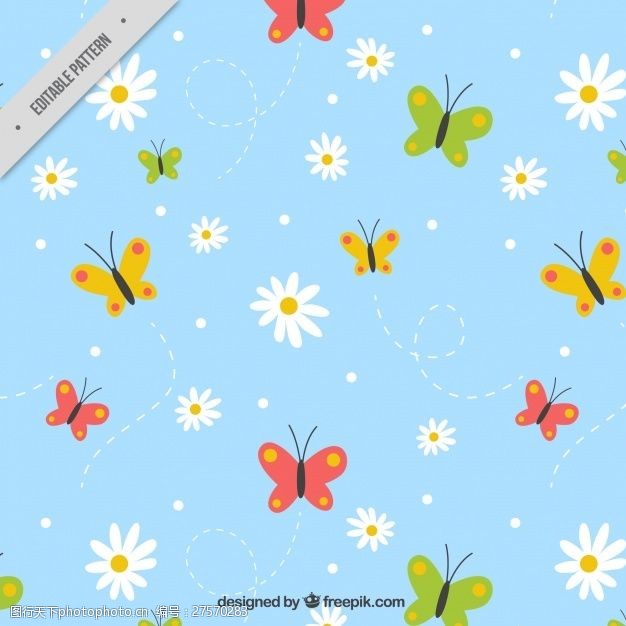 多彩菊花手绘图案的雏菊和彩色的蝴蝶