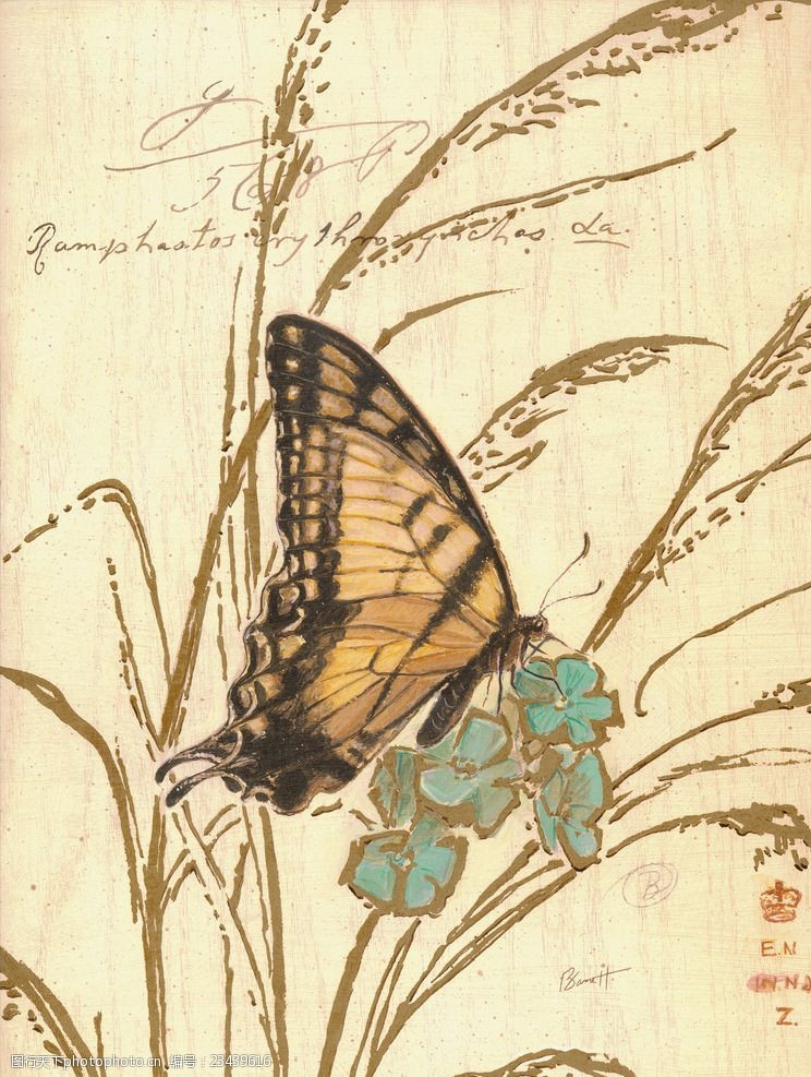 美化环境芦苇蝴蝶复古装饰挂画