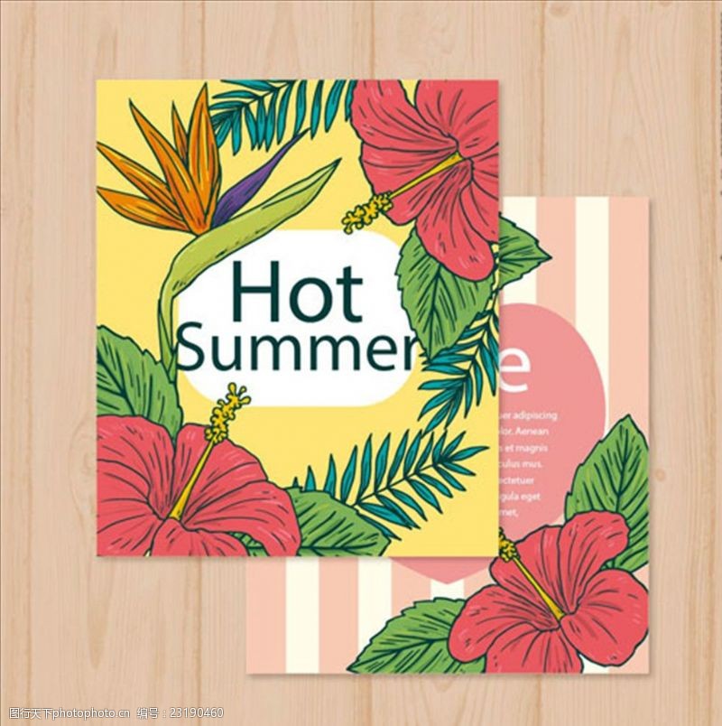 夏季风情矢量素材热带花卉的夏天卡片