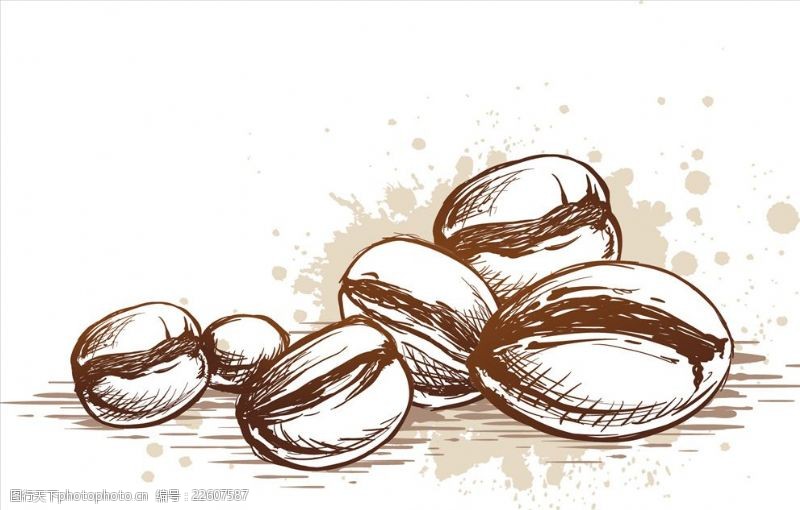 卡通咖啡咖啡豆