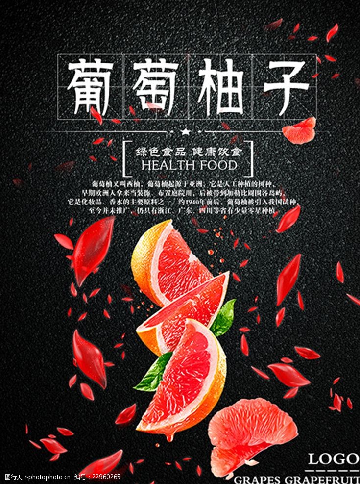 水果装饰画柚子宣传