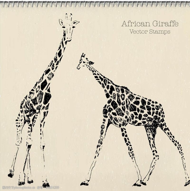 草本图案速写动物长颈鹿矢量图下载