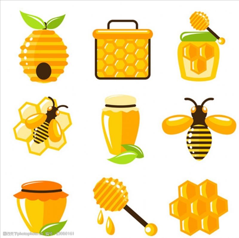 蜂蜜产品平面有机蜂蜜元素集