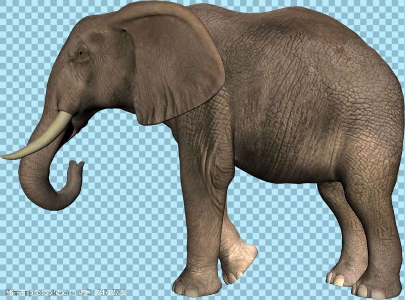 可爱的小象大象侧面图片免抠png透明图层素材