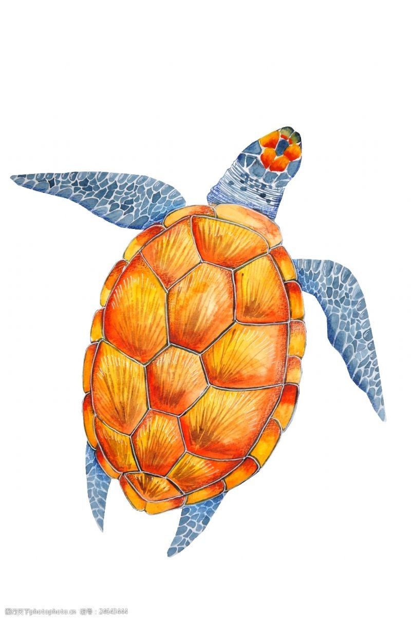 夏威夷黄色海龟卡通夏日高清水彩png免扣素材