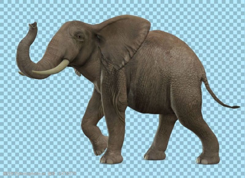 可爱的小象卷着鼻子走路的大象图片免抠png透明素材