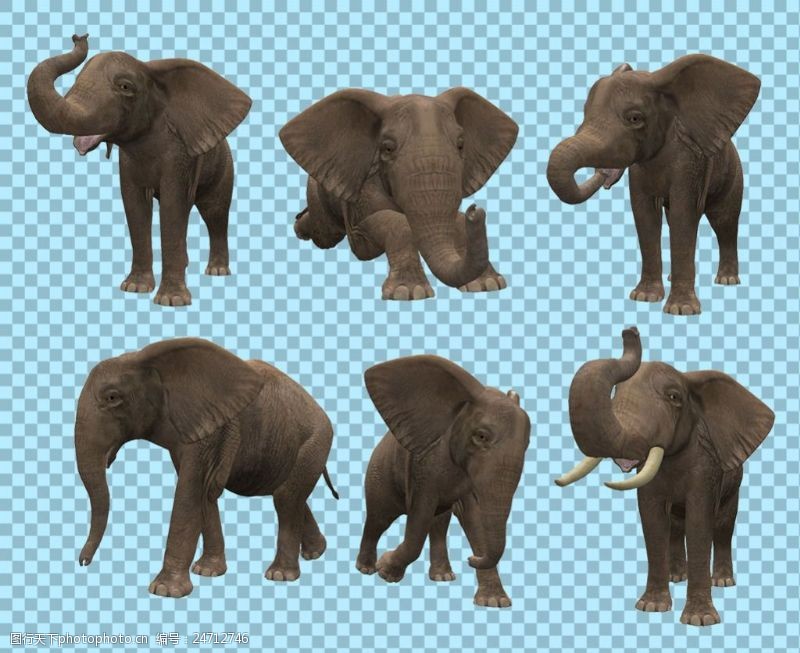 可爱的小象6只不同姿态大象免抠png透明图层素材