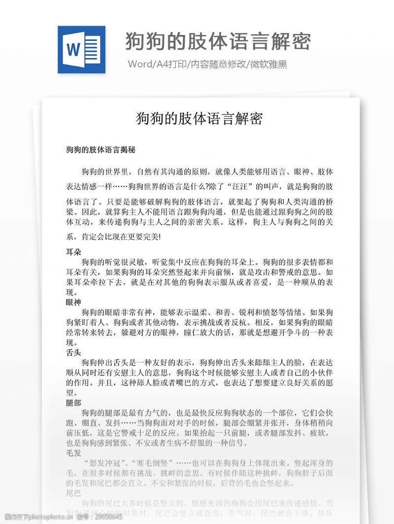 养狗知识图片免费下载_养狗知识素材_养狗知识模板-图行天下素材网