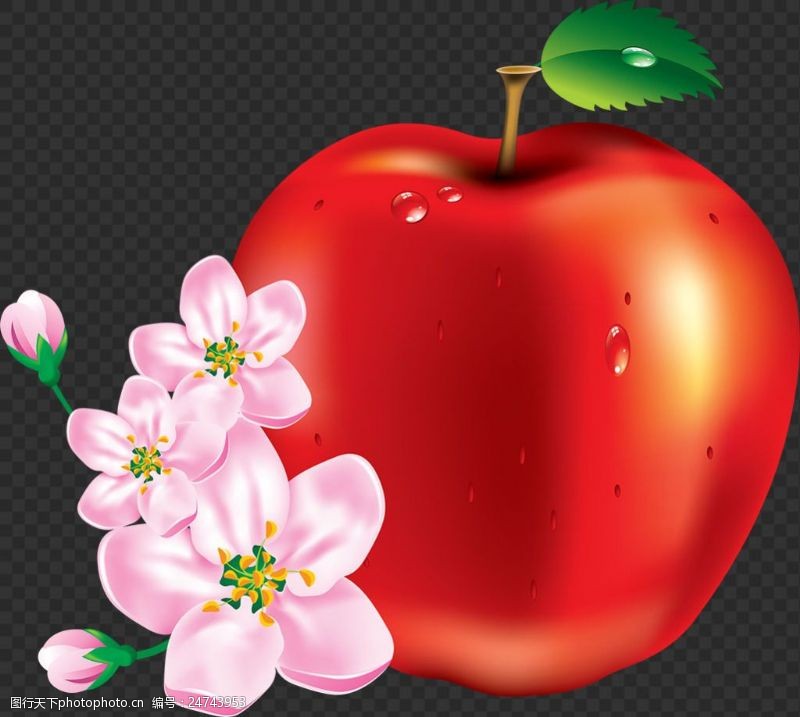 梨图片素材漂亮苹果和花图片免抠png透明图层素材