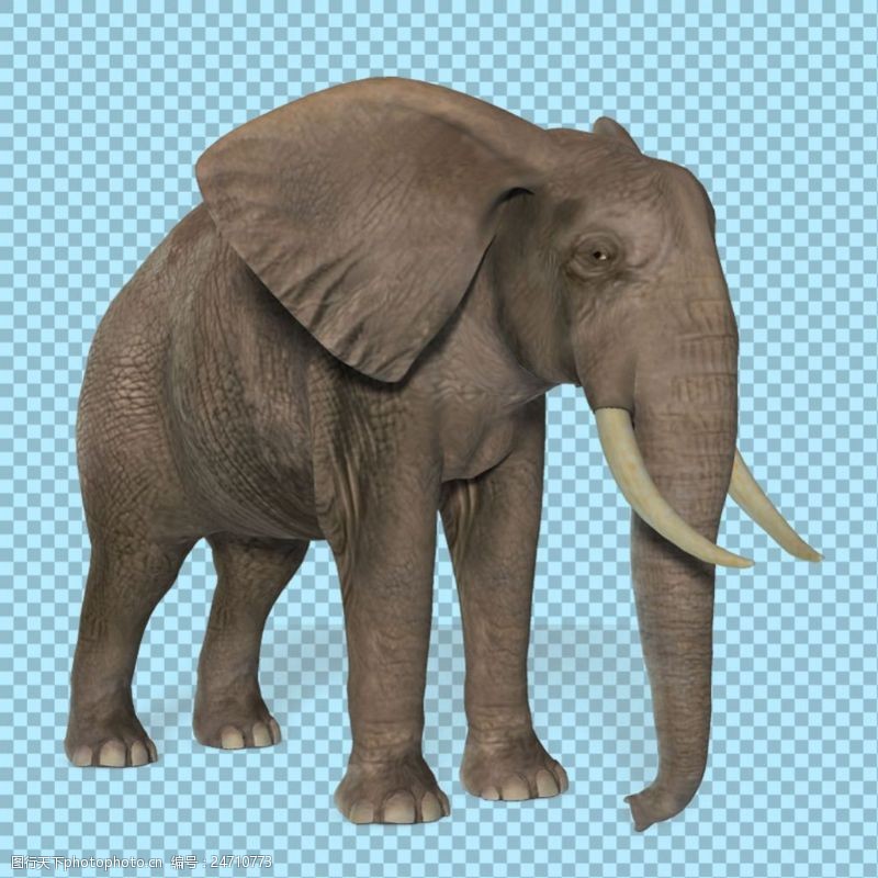 可爱的小象站着的长鼻子大象免抠png透明图层素材