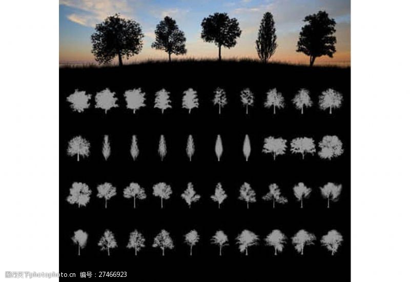 多种图案20种大树树木剪影图案PS笔刷素材