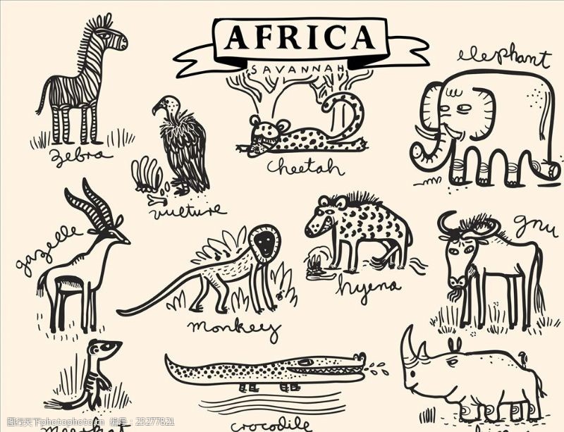 犀牛手绘涂鸦卡通动物矢量图下载