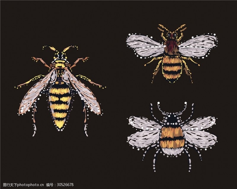 蜂蜜包装效果蜜蜂刺绣矢量图下载