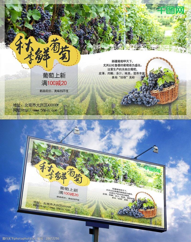 秋季新品葡萄水果促销海报葡萄园采摘