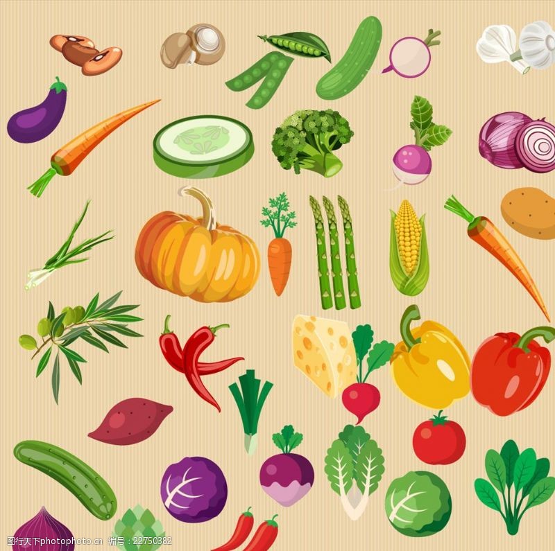 蒜苗各种蔬菜图片素材