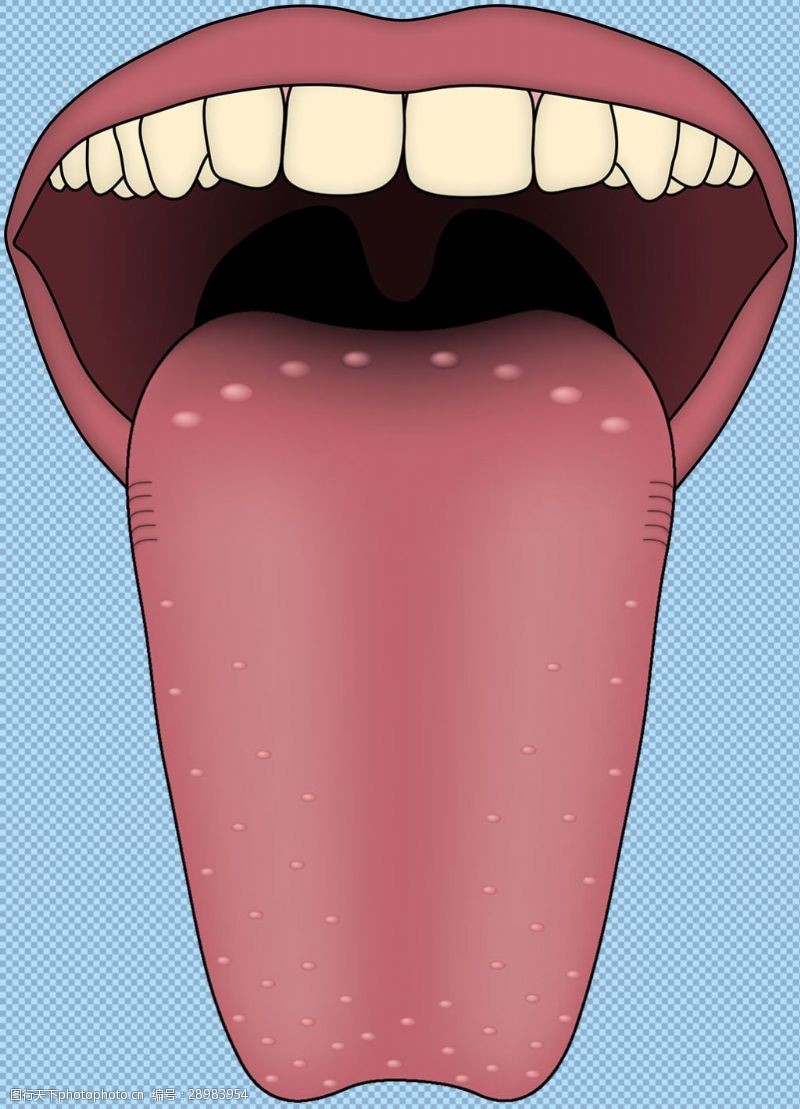 正常人舌头图片伸出的舌头免抠png透明图层素材
