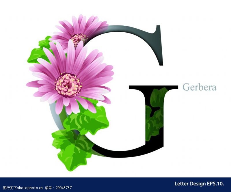 大写字母花卉英文字母字体设计