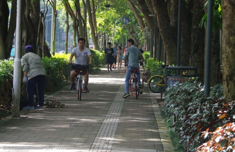 骑单车休闲绿道