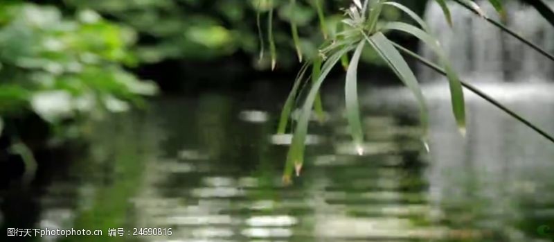河边小树瀑布流水河水荡漾实拍高清视频素材