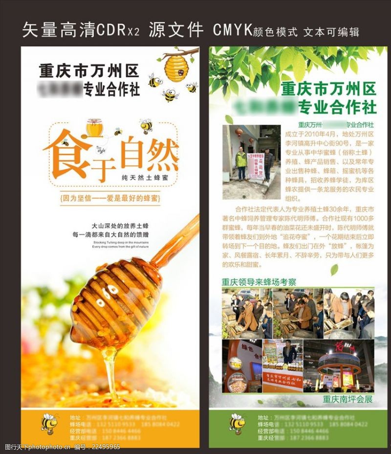 蜂蜜产品蜂蜜海报蜂蜜X展架