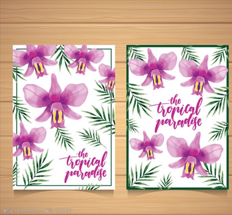 彩莲漂亮的热带水彩花夏日卡片