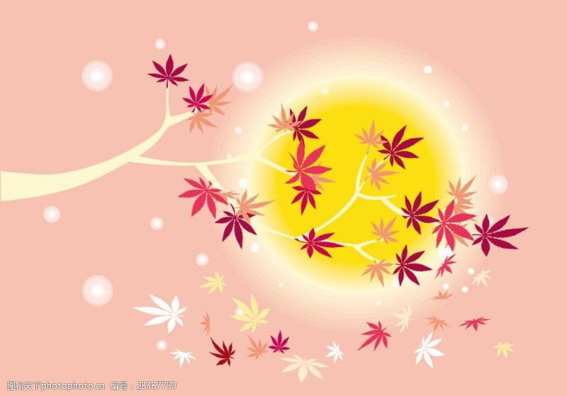日本日本枫树粉色浪漫日系枫叶茶插画