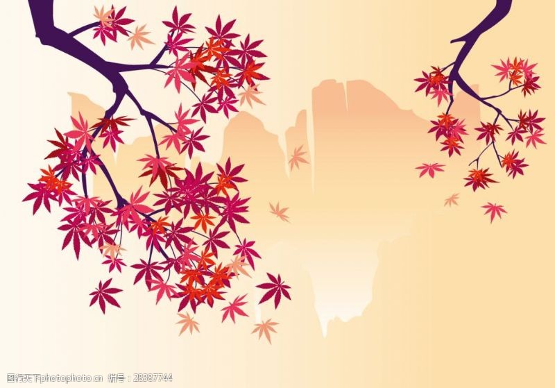 日本日本枫树日系风格唯美枫叶插画