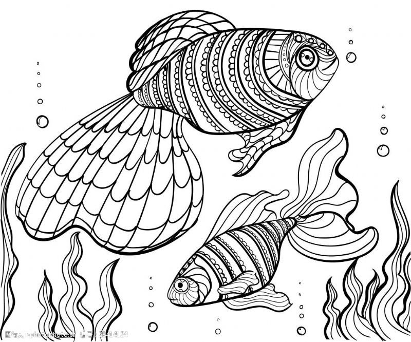水泡黑白线条金鱼插画