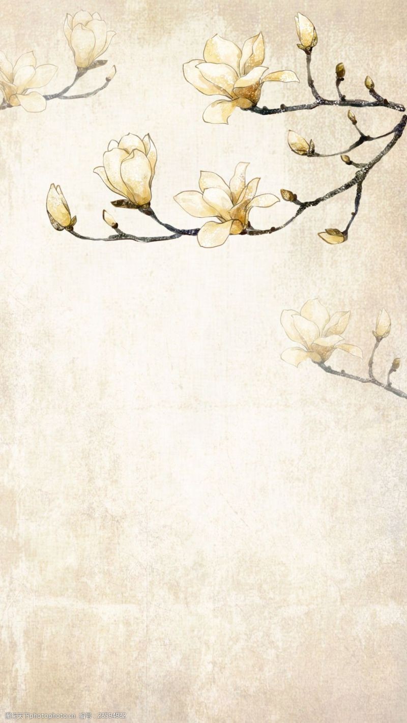 手绘兰花手绘白色玉兰花H5背景素材