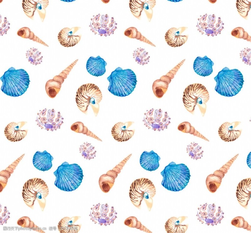 矢量花纹免费下载海螺贝壳花纹背景图